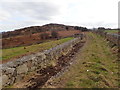 View south along the green lane towards Fathom Mountain