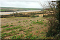 Arable farmland above the Camel estuary