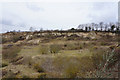 Disused quarry off Old London Road