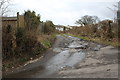 Farm lane behind Hawthorne Avenue, Nelson