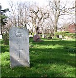 TG2008 : The grave of Frederick Joseph Hill by Evelyn Simak