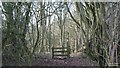 Stile in View Wood