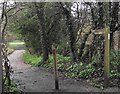 Footpath from Sandy Lane to the A334