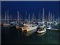 Boats at Brighton Marina