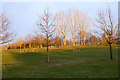 Ufford Park Golf Course