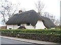 Sandy Lane thatch [5]