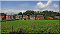 Pasture and housing near Hawkesbury in Warwickshire