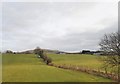 Undulating grassland south of the B8 near Kean