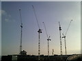 Five cranes near to Wembley Stadium