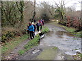 Rhyd Afon Dulais / Afon Dulais ford