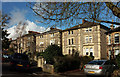 Houses on Clyde Park, Redland