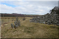 NH3830 : Corrimony Chambered Cairn (7) by Anne Burgess
