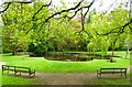 Pond at Denzell Gardens