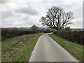 Near Little Norlington Farm