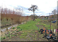 Allotments on north bank of Hell