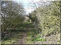 TL1932 : Path on Wilbury Hill, Letchworth by Humphrey Bolton