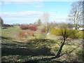 Rainfall storage basin, Fairfield Hall