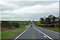 A354 towards Blandford