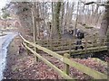 Footbridge across the Honeycrook Burn