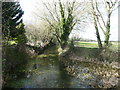 The River Ivel upstream of Stotfold Mill