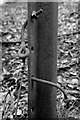 SO6115 : Rail section fencepost detail by John Winder