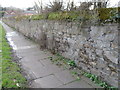 Stone wall alongside Arrowe Park Road