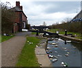 Rubbish in the Tame Valley Canal