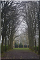 Whipsnade : Tree Cathedral