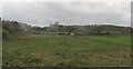 Waste ground on the edge of Killyleagh village