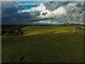 Pleasant Hill from the Beacon