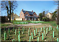 SP4517 : New Houses, New Trees by Des Blenkinsopp