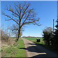 The road to Manor Farm