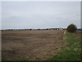 Flat fields and Grange Farm, Shipton Common