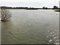 TL3170 : Spring flooding in St Ives, Cambridgeshire - 5/10 by Richard Humphrey