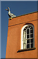 Geese on listed house, Kingsdown