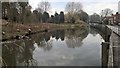 Walkington village pond, west end