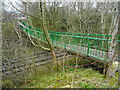 SK1684 : Sagging footbridge - Hope Catenary Footbridge by John M