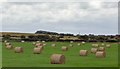 Bales of Hay