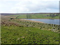 SE0135 : Sheep creep and stile into reservoir land off Bodkin Lane by Humphrey Bolton
