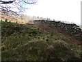 Dry stone wall going up a steep slope near Garthgwynion