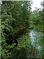 River Avon at Newbold in Warwickshire