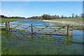 Gates in a Lake