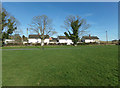 Houses on Peasenhall Road