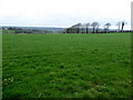 A green field, Beltany