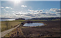 Pond at Bellfield