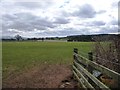 Sheep pasture, south-west of Woodside