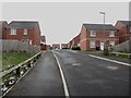 New housing development, Whitehill, Chester-le-Street