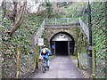 Cyclist entering Devonshire Tunnel from the east