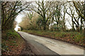 Road near Higher Cardeast