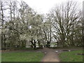 SK9668 : Signs of Spring near the Lake, Boultham Park by Jonathan Thacker